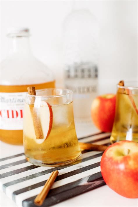 Apple Cider Vodka Cocktail: Easy and Delicious Holiday CocktailHonestly ...