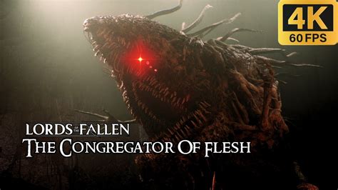 Lords Of The Fallen Congregator Of Flesh Boss Fight YouTube