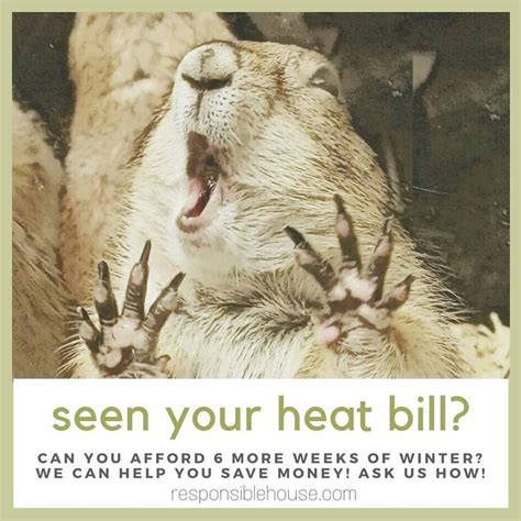 Puxatony Phil says we have 6 more weeks of winter! have you seen your heating bill? can you ...