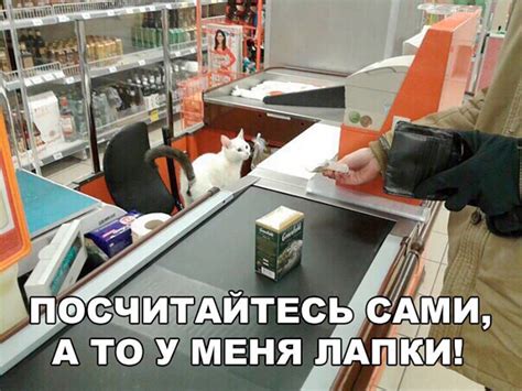 У меня лапки — Библиотека мемов