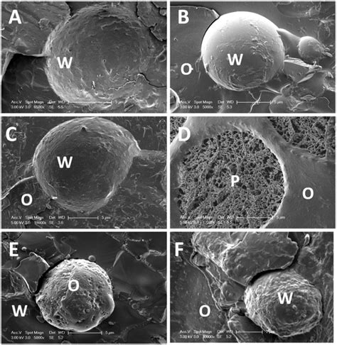 SEM Images Of Emulsions Stabilised With Fat Particles A W O