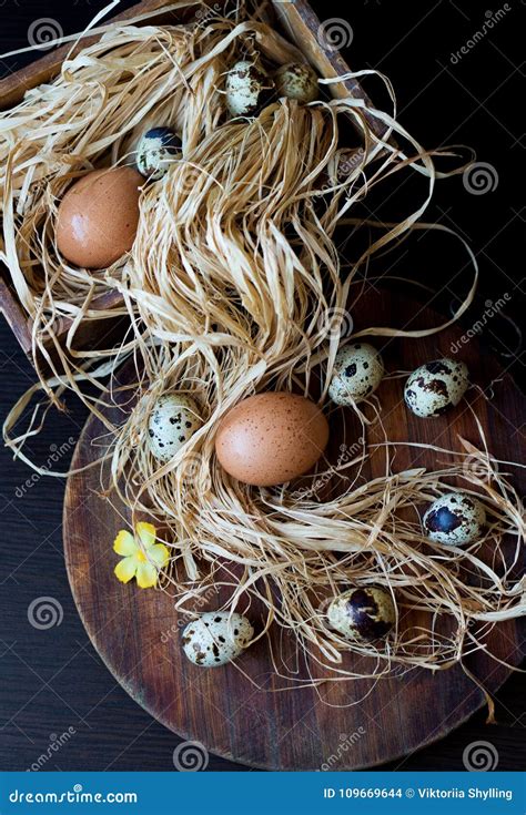 Ovos Da Galinha E De Codorniz Em Uma Palha Em Uma Placa De Madeira Foto