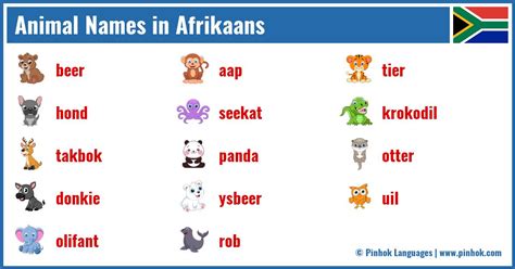 Animal Names In Afrikaans