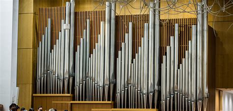 St Patrick’s Cathedral Pipe Organ – 125 years young! – Catholic Outlook