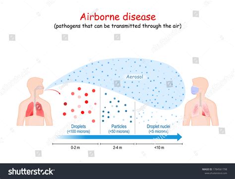 39,017 Transmissible Disease Images, Stock Photos & Vectors | Shutterstock