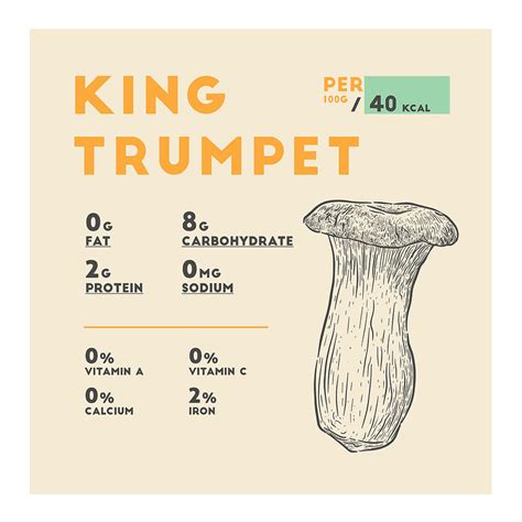 King Trumpet Mushroom Nutrition Facts Drawing by Beautify My Walls