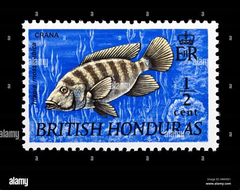 Honduras Postage Stamp High Resolution Stock Photography And Images Alamy