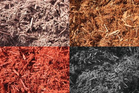 pine straw king top quality bulk landscape supply marietta