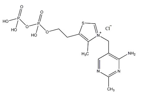 Shandong Green Bio Pharmaceutical Co Ltd Cocarboxylase