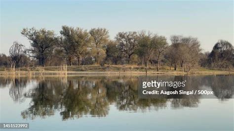 Ramgarh Tal Lake Fotografías e imágenes de stock - Getty Images