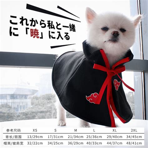 Dog cat cloak Huo Ying Xiao organization pet clothes Tik Tok with Teddy ...