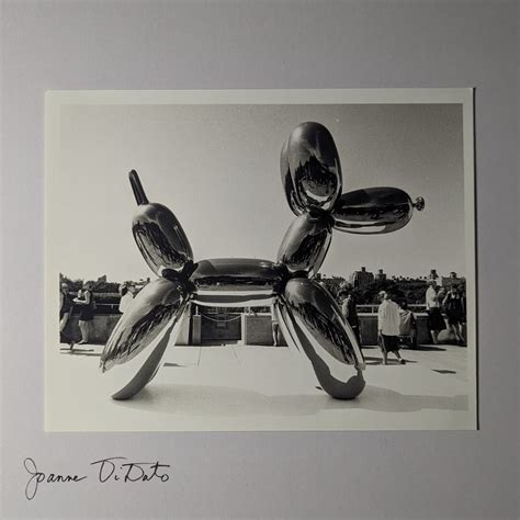 Jeff Koons' Balloon Dog 10x8 Gelatin Silver Print by Joanne Didato - Etsy