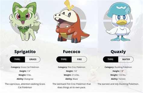 Official Profiles Revealed For Sprigatito Fuecoco And Quaxly The New