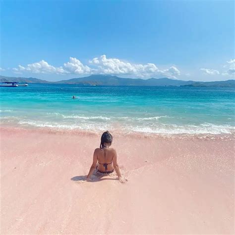 Pantai Pink Beach Labuan Bajo Archives Travels Id