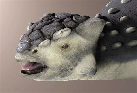 Ankylosaurus - ZBrushCentral