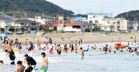 「安全な海岸」を要望 三浦地区海水浴場対策協議会 社会 カナロコ By 神奈川新聞