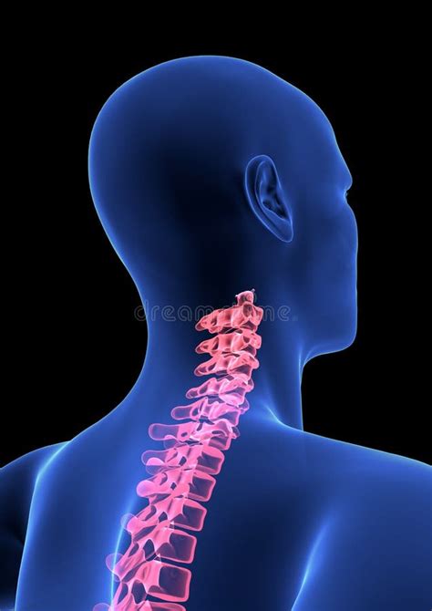 Cervical Spine Pain Blue Human Anatomy Body 3D Render On Black