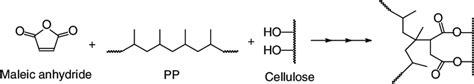 Schematic Representation Of The Reaction Where Maleic Anhydride Is Download Scientific Diagram