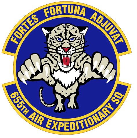 Coat Of Arms Crest Of Th Air Expeditionary Squadron Us Air Force Png