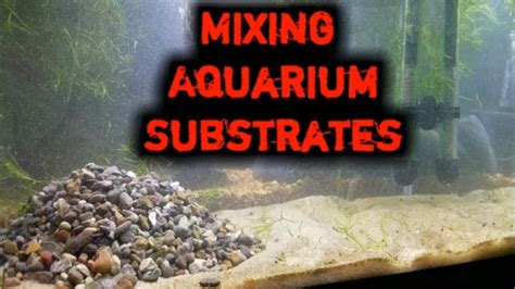 How To Add Substrate To An Aquarium With Water Step By Step Guide For