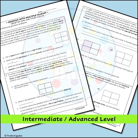 Genetics Multiple Alleles Punnett Square Problems – Bilingual Marketplace