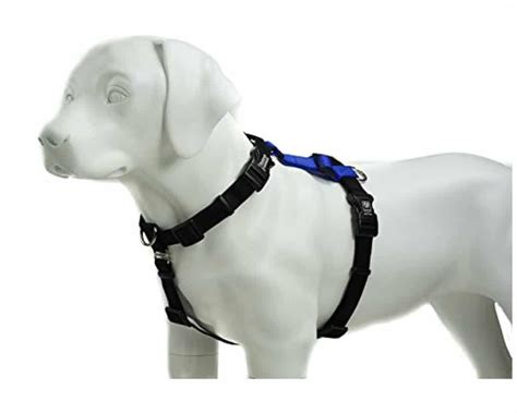 The BEST Dog Harness For Large Dogs [Definitive Buyers Guide]