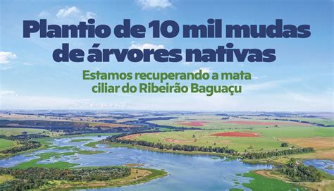 No Dia Do Meio Ambiente Gs Inima Samar Anuncia O Plantio De Mil