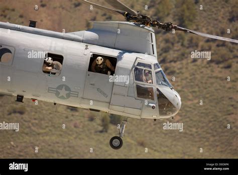 CH 46 Sea Knight Helicopter Lifts Off Stock Photo Alamy