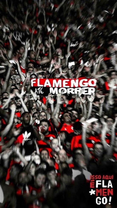 Zico Flamengo Wallpapers Wallpaper Cave