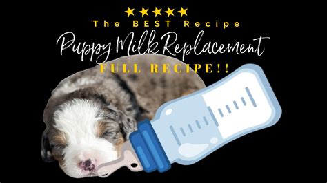 How To Make The Best Puppy Milk Replacement Formula Recipe Feeding