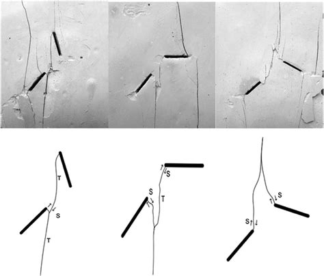 Different Form Of Indirect Crack Coalescence Download Scientific Diagram