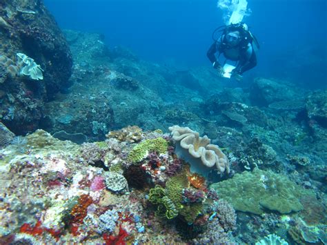 Pulau Pulau Di Sumatera Barat Yang Ternyata Lebih Indah Dari Maldives