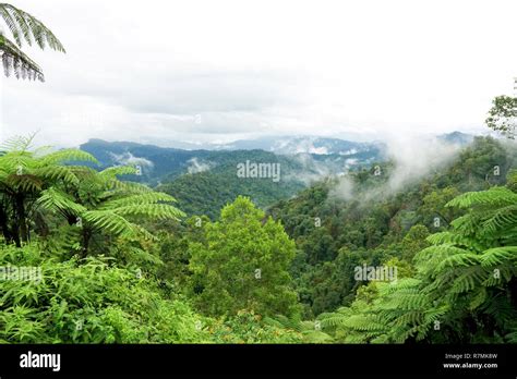 Tropical Mountain Range View View Of Moving Clouds And Fog Over