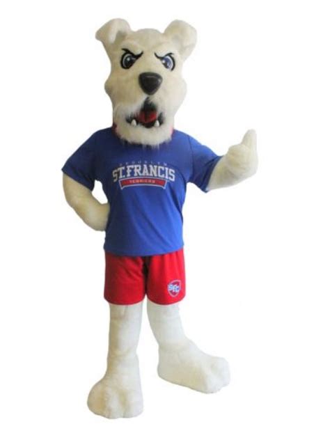 St Francis College Mascot Costume