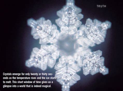 The Hidden Messages Of Water Masaru Emoto Crystals Hidden Messages