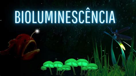 POR QUE ALGUNS SERES BRILHAM COMO OCORRE A BIOLUMINESCÊNCIA YouTube