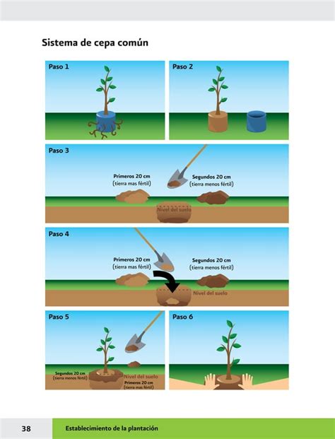 Manual Practicas De Reforestacion Pdf