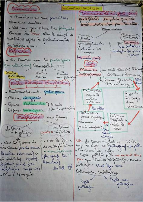 Solution Parasitologie Facile Studypool