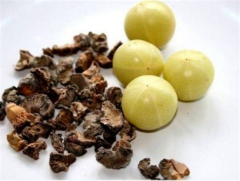 INDIAN GOOSEBERRY Dried AMLA Fruit Whole Phyllanthus Etsy