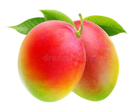 Two Mangoes Fruits Stock Photo Image Of Exotic Juicy 3421124