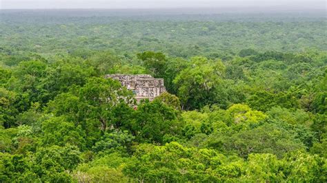 Ocomtún A long lost Maya city that was just discovered BBC Travel