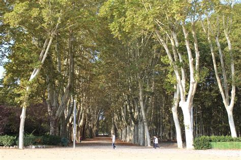 Parque De La Devesa En Girona Pequemap Lugares Rutas Y Eventos