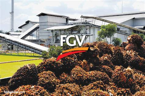 FGV seeks to increase exports of palm kernel shell to Japan | The Edge ...