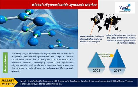 Oligonucleotide Synthesis Market Size Share Demand 2030