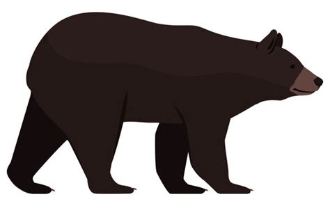 Black Bear Clipart Images Browse Stock Photos Vectors