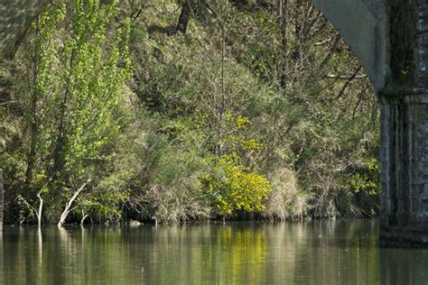 Riserva Naturale Della Valle Dell Inferno E Della Bandella Flickr