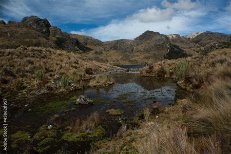 Cajas National Park Stock Photo | Adobe Stock