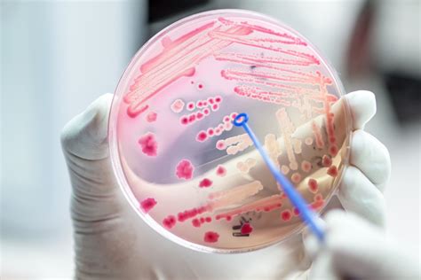 Progress in tackling antimicrobial resistance | IFPMA