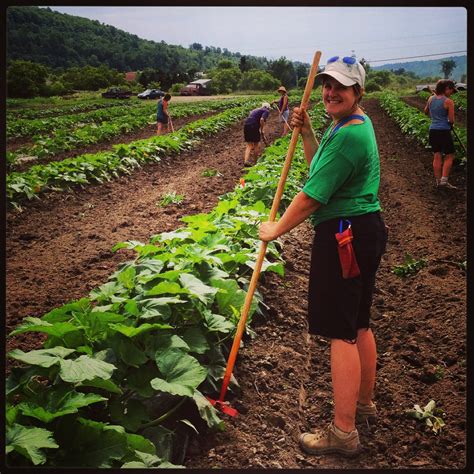 Tools Of The Trade Our Staff Favorites High Mowing Organic Non Gmo Seeds