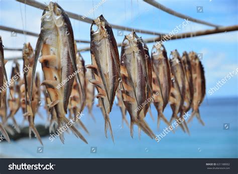 Drying Fish Under Sun During Flying Stock Photo 631188002 Shutterstock